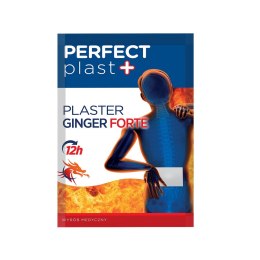 Plaster rozgrzewający Ginger Forte 12x18 cm Eurus.