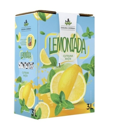 DOLINA CZERSKA NFC Lemoniada CYTRYNA-MIĘTA 3l karton