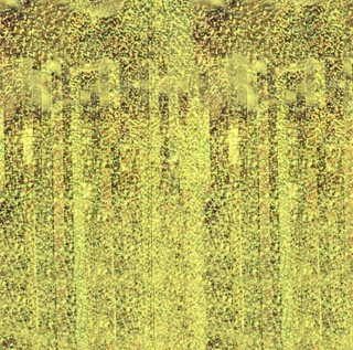 PartyPal Kurtyna imprezowa holograficzna złota 100x200cm