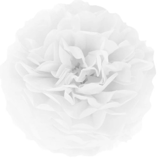 PartyPal Pompon bibułowy biały 25 cm